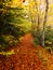 Mountain pathway during fall