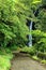 A mountain pathway leading to a mysterious waterfall