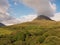 Mountain peak in Connemara National Park, Aerial view over trees