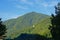 Mountain peak with forest on a sunny morning in the Romanian countryside