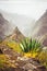 Mountain peak of Xo-xo valley and agaves plants on the trekking route down. Santo Antao island, Cape Verde