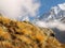 Mountain peaks covered glaciers with withered grass in the foreg