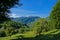 Mountain peaks with forests and apple trees in the foreground on a sunny morning in the Transylvanian countryside
