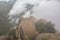 Mountain peaks hiden in the mist in Montserrat, view from Sant Jeroni