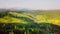 Mountain peaks and morning sky with smooth moving clouds. Summer landscape paeceful valley trees in the meadow at