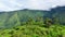 Mountain peaks with rainforest. Tropical trees and palm trees on a hillside.