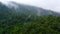 Mountain peaks in a tropical climate. Mountains covered by rainforest, aerial view.