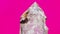 Mountain quartz crystal isolated on pink background. Macro shot