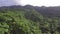 Mountain rainforest replete with full grown trees. Drone aerial shot