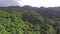 Mountain rainforest replete with full grown trees. Drone aerial shot