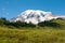 Mountain Rainier, Paradise Valley, Skyline Trail, in August