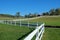 Mountain Ranch Landscape