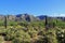 Mountain Range Beside Bear Canyon Arizona