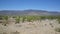 Mountain range landscape in Reserva de Namibe
