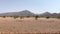 Mountain range in northern Namibia with some ostriches in a distance
