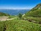 Mountain range and valley with residential houses, view from a height. Mountain stream