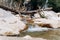 Mountain rapids with old fallen ash tree over the river. Tree trunk bridge over the mountain river in the canyon. Old