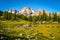 Mountain Reflection Jumbo Pass