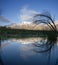 Mountain Reflection In Meadow Pool