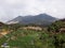 Mountain, ricefield, jungle in afternoon summer