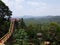 Mountain, ricefield, jungle in afternoon summer and stairs. it is a beautiful view