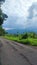 Mountain Ricefield Tree Cloud