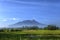 Mountain and Ricefields in the Morning