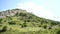 Mountain ridge covered with forest under blue sky. Picturesque scenery of mountain slopes and peaks covered with green