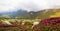 Mountain ridge landscape view with fog and closeup Rhododendron