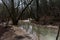 Mountain river in the autumn forest. Streams of water on a long exposure