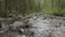 Mountain river in autumn time. Rocky shore. River flowing through Rocky Mountains