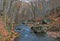 The mountain river in beechen autumn wood