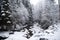 Mountain river bridge in the mountain winter forest with snow-covered trees and snowfall