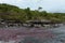 Mountain river Canio Cristales