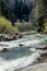 Mountain river in the Carpathians