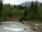 Mountain river in the Carpathians forest