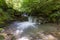 Mountain river in the Carpathians on a summer day with clear crystal water, rocks overgrown with moss and ferns. The concept of vi