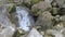 Mountain river with clean water in Caucasus mountain in Georgia near Kutaisi. Martvili canyon. National park