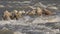 Mountain River Closeup, Spring Brook, Creek with Stones, Rocks, Nature View