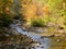 Mountain river creek and forest in fall with reflections