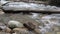 Mountain river with debris of logs and branches flows among the stones