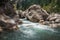 Mountain river in the dense forest, Turkey