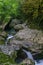 Mountain river flowing through the green forest. Rapid flow over rock covered with moss