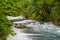 Mountain river flowing through the green forest. Rapid flow over rock covered with moss