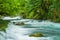 Mountain river flowing through the green forest. Rapid flow over rock covered with moss