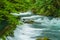 Mountain river flowing through the green forest. Rapid flow over rock covered with moss