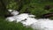 Mountain river flowing through the green forest. Swiss Alps, crystal clear glacial water, mountain spring.