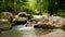 Mountain river flowing in rainforest. Endless meditative video, stream in tropical exotic jungle forest. Creek flow in