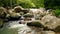 Mountain river flowing in rainforest. Endless meditative video, stream in tropical exotic jungle forest. Creek flow in