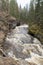 A mountain river flows in a forest gorge